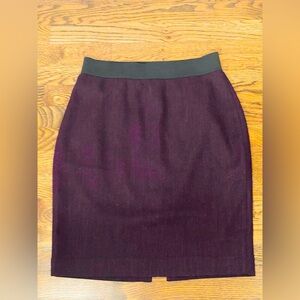 🐆Express Deep Purple Skirt - Leopard Print Lining